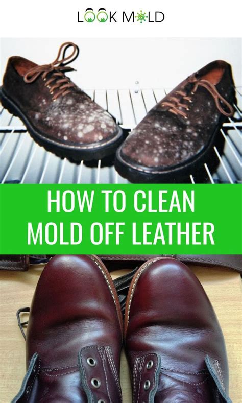 How To Clean Mold Off Leather In Four Easy Steps How To Clean Mold Cleaning Leather Shoes