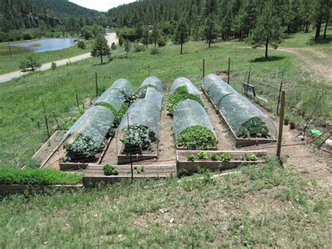 Hail netting is your best option for garden hail protection if your area is known for this kind of weather. Protect Vegetable Garden From Hail | Fasci Garden
