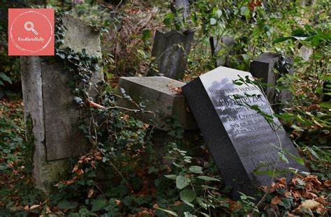 Der Wiener Zentralfriedhof Schaurig Schöne Rätselrallye Erlebe