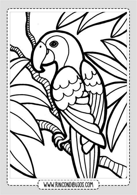 Dibujo de un Loro para colorear - Rincon Dibujos