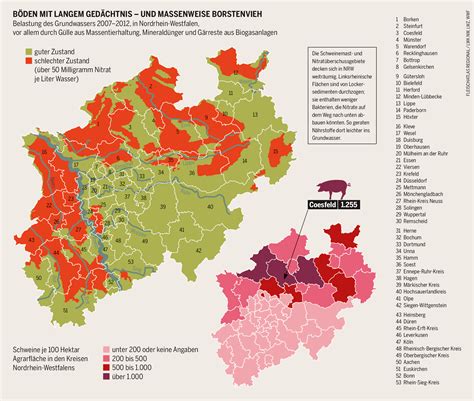 Böden mit langem Gedächtnis - und massenweise Borstenvieh ...