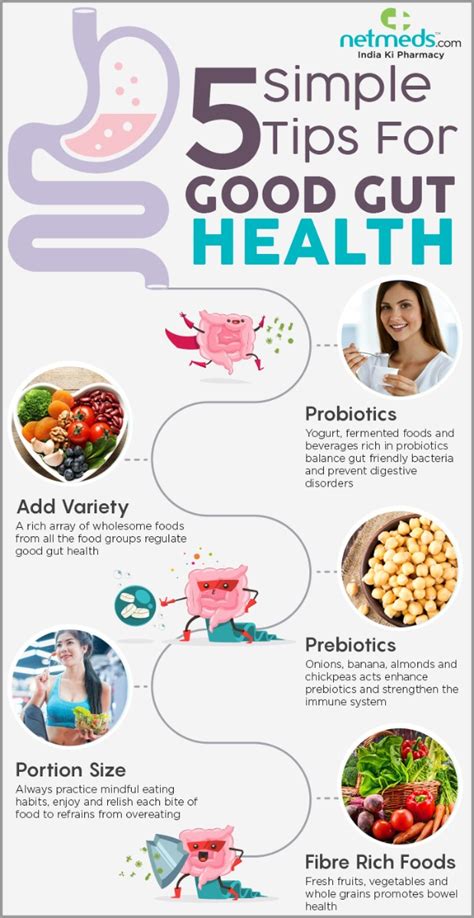 5 Effective Tips To Follow For Optimal Gut Health Infographic