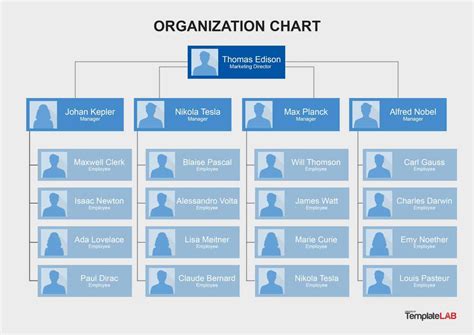 Microsoft Word Organizational Chart Template ~ Addictionary