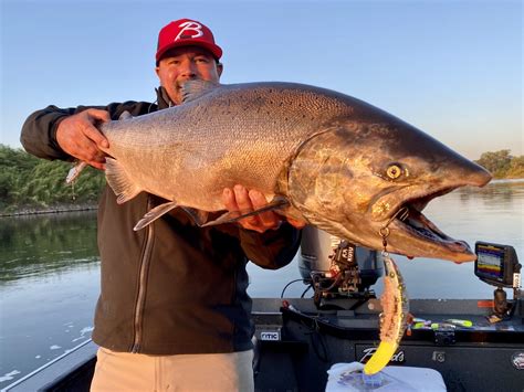 2021 Sacramento River Salmon Fishing Update — Jeff Goodwin Fishing