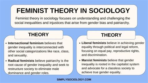 théorie féministe en sociologie définition types et principes 2024
