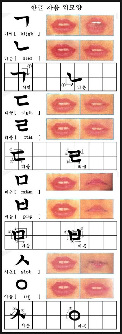 Korean Consonants And Vowels Chart