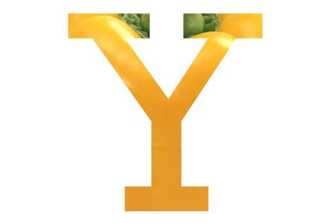 Letter Y Pictures Free Use Image 2001 25 4 By