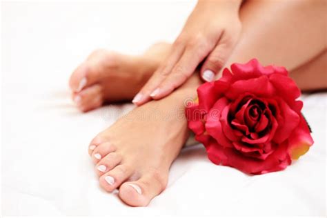Beautiful Feet And Hands Stock Image Image Of Aromatherapy 11147575
