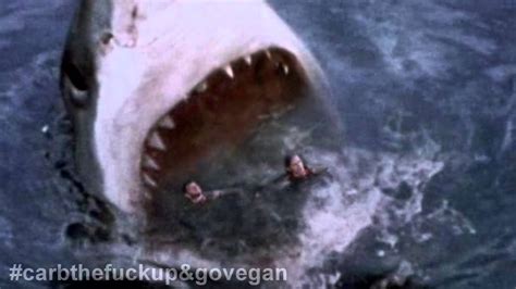 Giant Shark Attack Megaloden Eats Human Prey Off Australian Coast