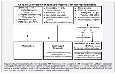 Understanding Waldenstrom Macroglobulinemia Causes Symptoms And
