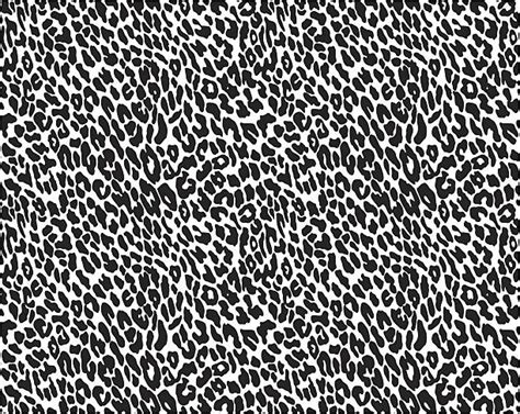 Leopard Print Illustrations Royalty Free Vector Graphics