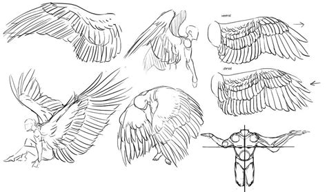 Wings By Fox Wings Wings Drawing Art Reference Poses Wings Art