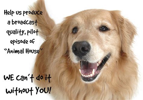 Dogs and cats are not the only animals who can assist humans with disabilities. Animal House: Helping People Help Animals