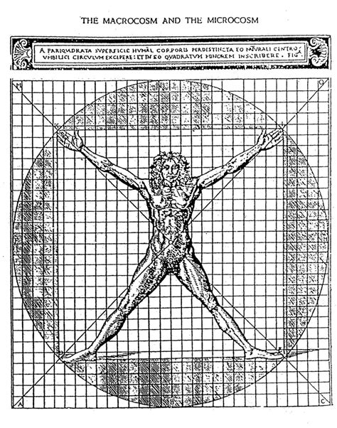 Human Body In The Circle Square Nexus Download Scientific Diagram