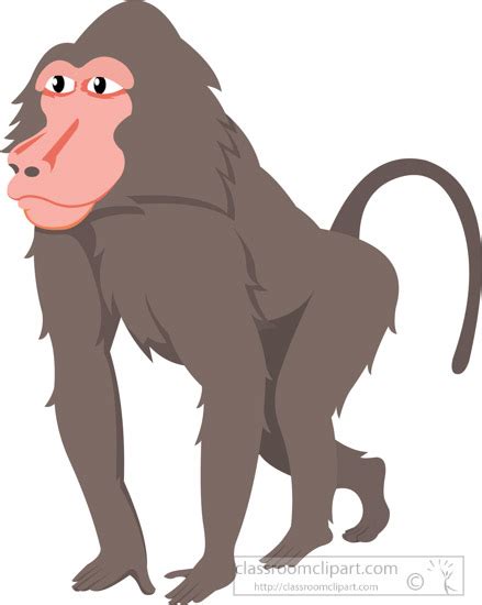 Monkeys Clipart Baboon Monkeys Baboon Transparent Free For Download On