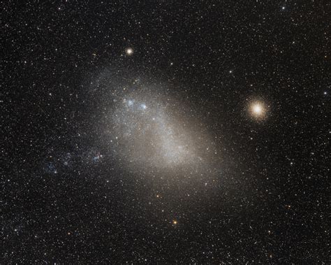 The Small Magellanic Cloud Telescope Live