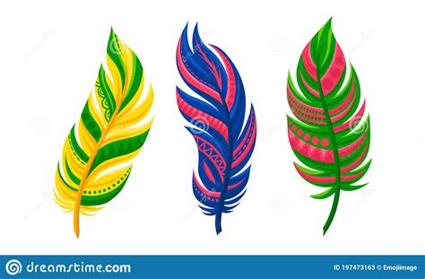 Decorative Curved Feathers As Avian Plumage Vector Set Stock Vector