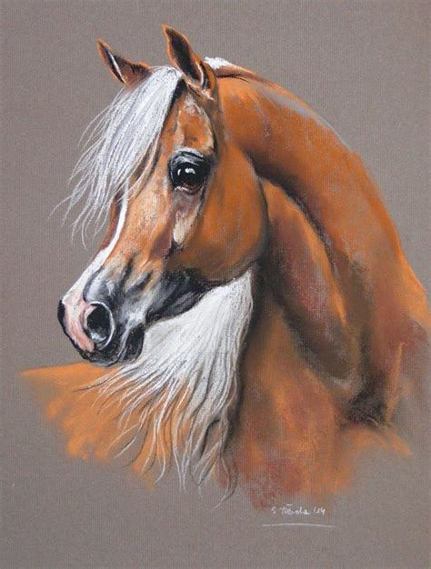 Palomino Arabian Horse Painting Beautiful Face And Sweet