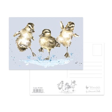 Wrendale Postcard Eendjes “puddle Ducks” Enjoy Books