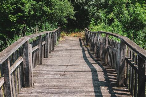 Beautiful Wooden Bridge Over Swamps Of Kopacki Rit National Park In