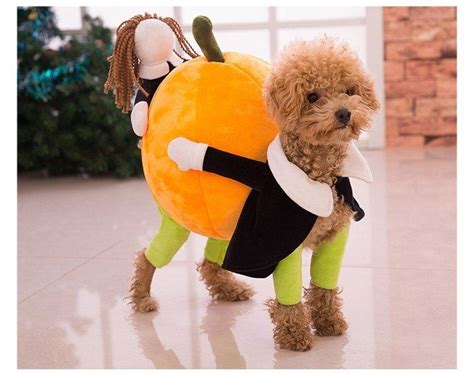 Pumpkin Carrying Dog Costume Pet Costumes Puppy Costume Dog Costumes