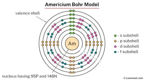 Americium Bohr Model Learnool