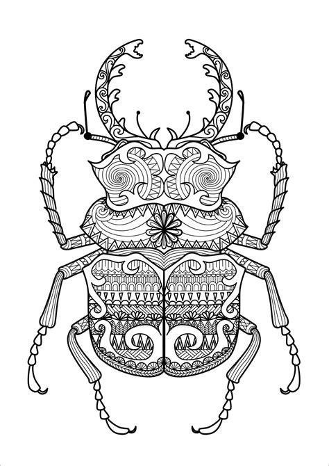 stag beetle coloring page for adults 116 dxf include