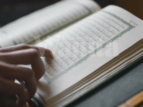 مَنْ حَفِظَ عَشْرَ آيَاتٍ مِنْ أَوَّلِ سُورَةِ الْكَهْف عُصِمَ مِنَ الدَّجَّالِ. Ini Rupanya 4 Sebab Kenapa Surah Al Kahfi Sangatlah ...