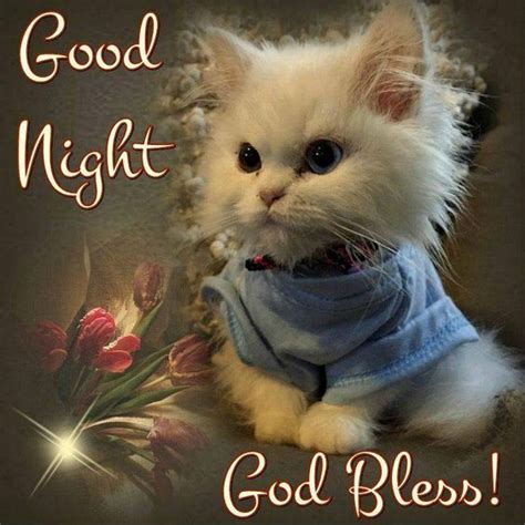Kitten Good Night God Bless Pictures Photos And Images For Facebook