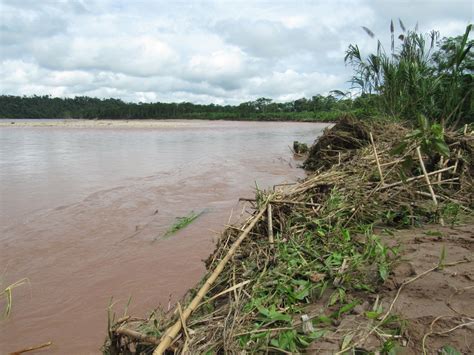 Precipitaciones Pluviales Causan Estragos En Las Riberas Del Rio