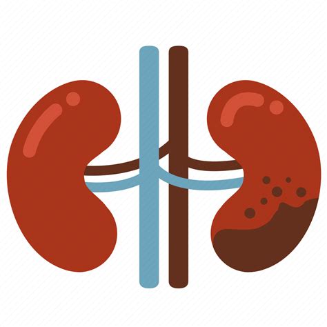 Cancer Disease Infection Kidney Kidney Failure Ill Icon Download