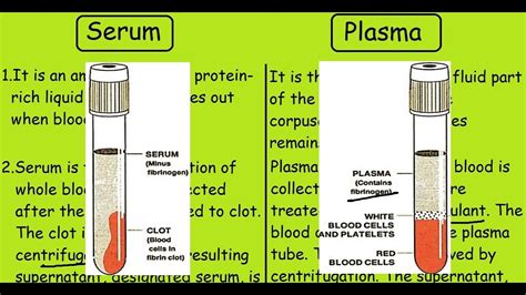 How Can You Visually Tell Serum From Plasma Capa Learning