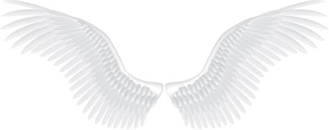 Transparent Background Wings Png