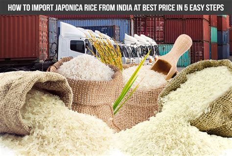 How To Import Japonica Rice From India At Best Price In 5 Easy Steps