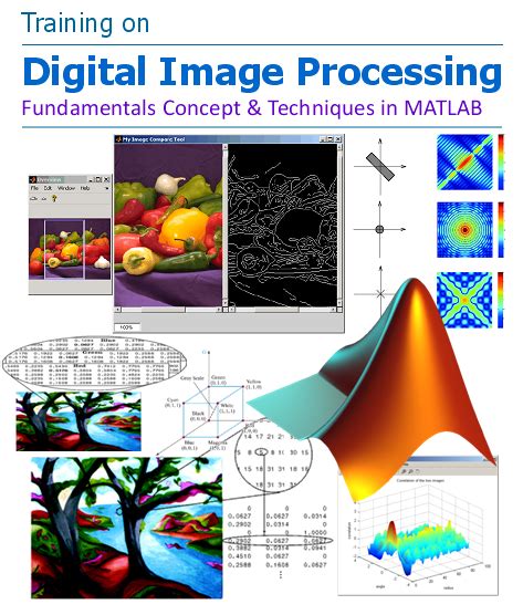 Training On Digital Image Processing