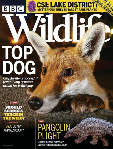 Bbc Wildlife March 2020 Magazine Get Your Digital Subscription
