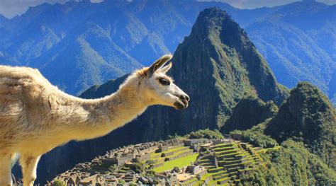 Los Mejores Lugares Para Visitar En Perú