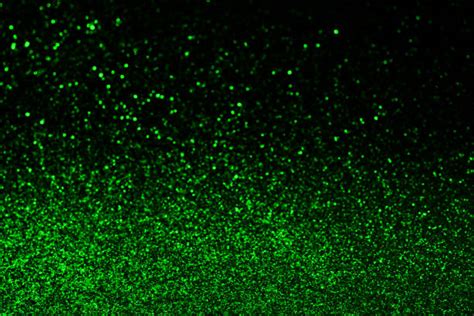 Best Green Glitter Stock Photos Pictures And Royalty Free Images Istock