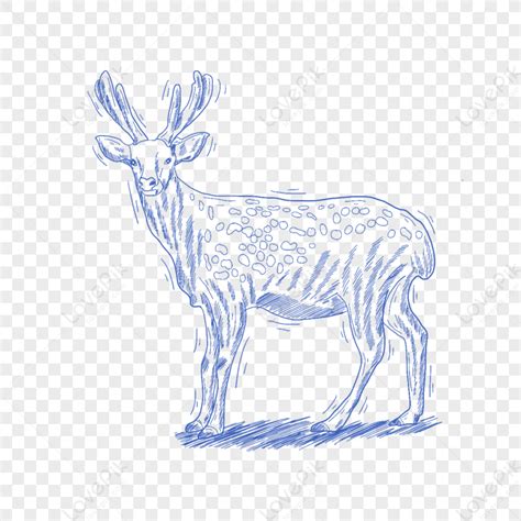 Blue Line Animal Stick Figure Sika Deer Png White Transparent And