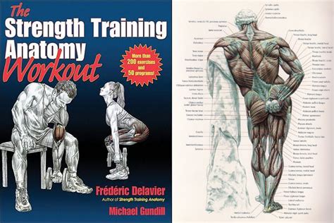 Click on the labels below to find out more about your muscles. The Strength Training Anatomy Workout - book review