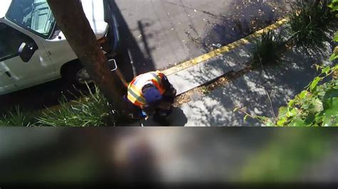 Man Caught Pooping On San Francisco Street