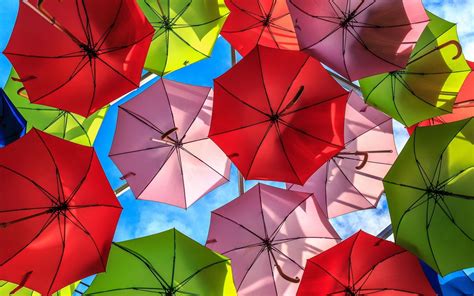 Umbrella Wallpapers Top Free Umbrella Backgrounds Wallpaperaccess