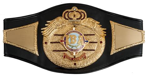 International Boxing Association Sports Belt Boxing Champions Professional Wrestling