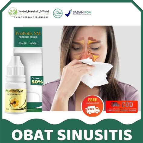 Jual Obat Sinusitis Herbal Flu Menahun Hidung Tersumbat Hidung