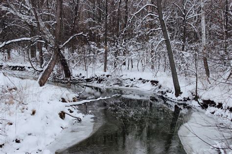 Free Images Tree Water Nature Outdoor Wilderness Branch Snow