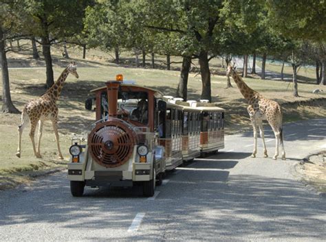 Parc safari isn't just a zoo. Attrazioni di Safari Park (Pombia) | panoramica del parco ...