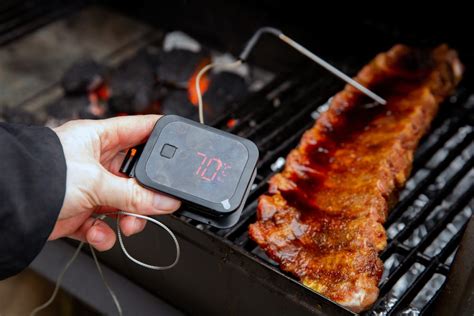 6 Best Bluetooth Meat Thermometers For Grilling Restaurant Clicks