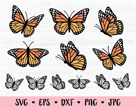 Svg Files For Cricut Monarch Butterfly Png Butterfly Silhouette Layered