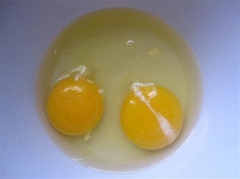 That Weird White Stringy Thing In Egg Yolks Has Finally Been Explained