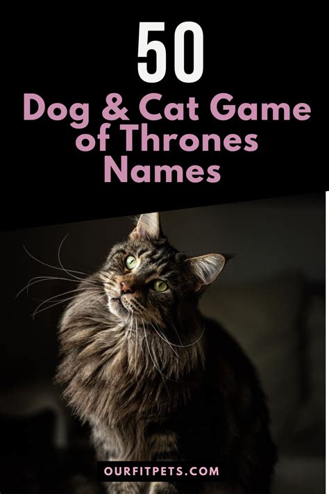 50 Dog And Cat Game Of Thrones Names Our Fit Pets In 2021 Kitty Games